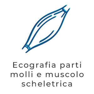 muscolo1